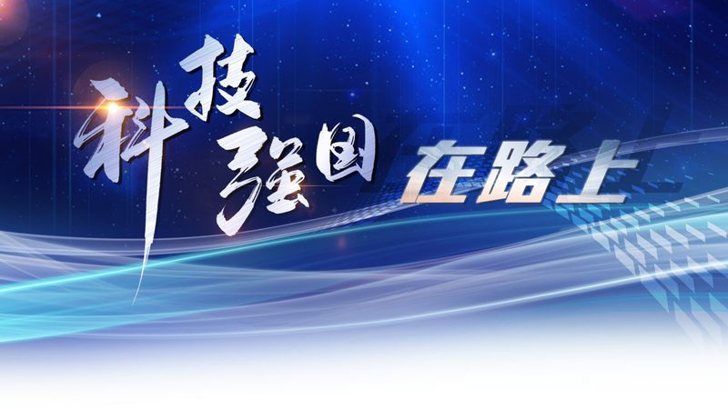 数据中台开源版与商业版：核心差异与选择考量